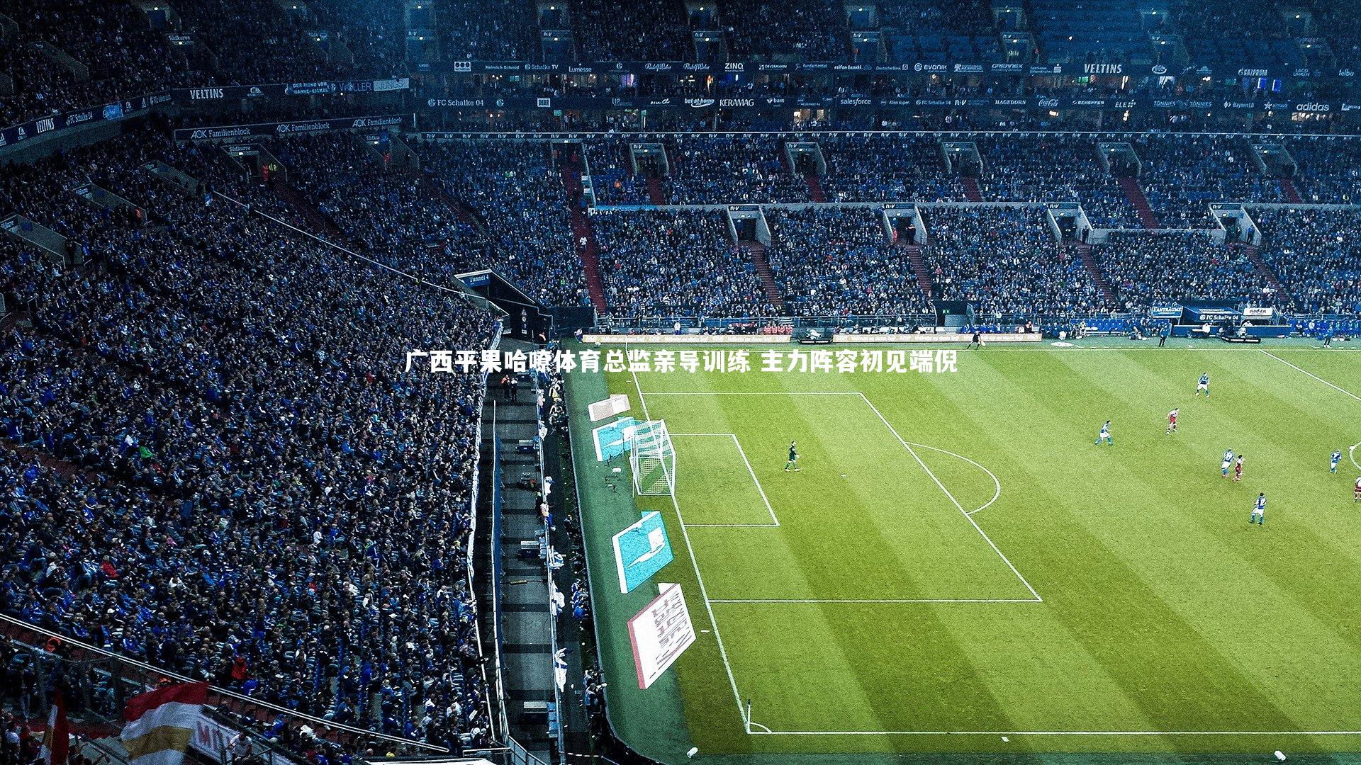 广西平果哈嘹体育总监亲导训练 主力阵容初见端倪